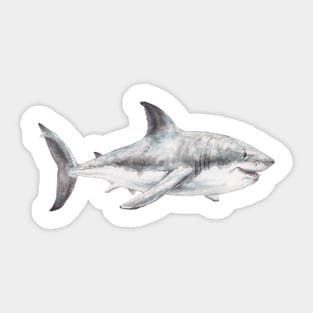 Happy Watercolor Shark Sticker